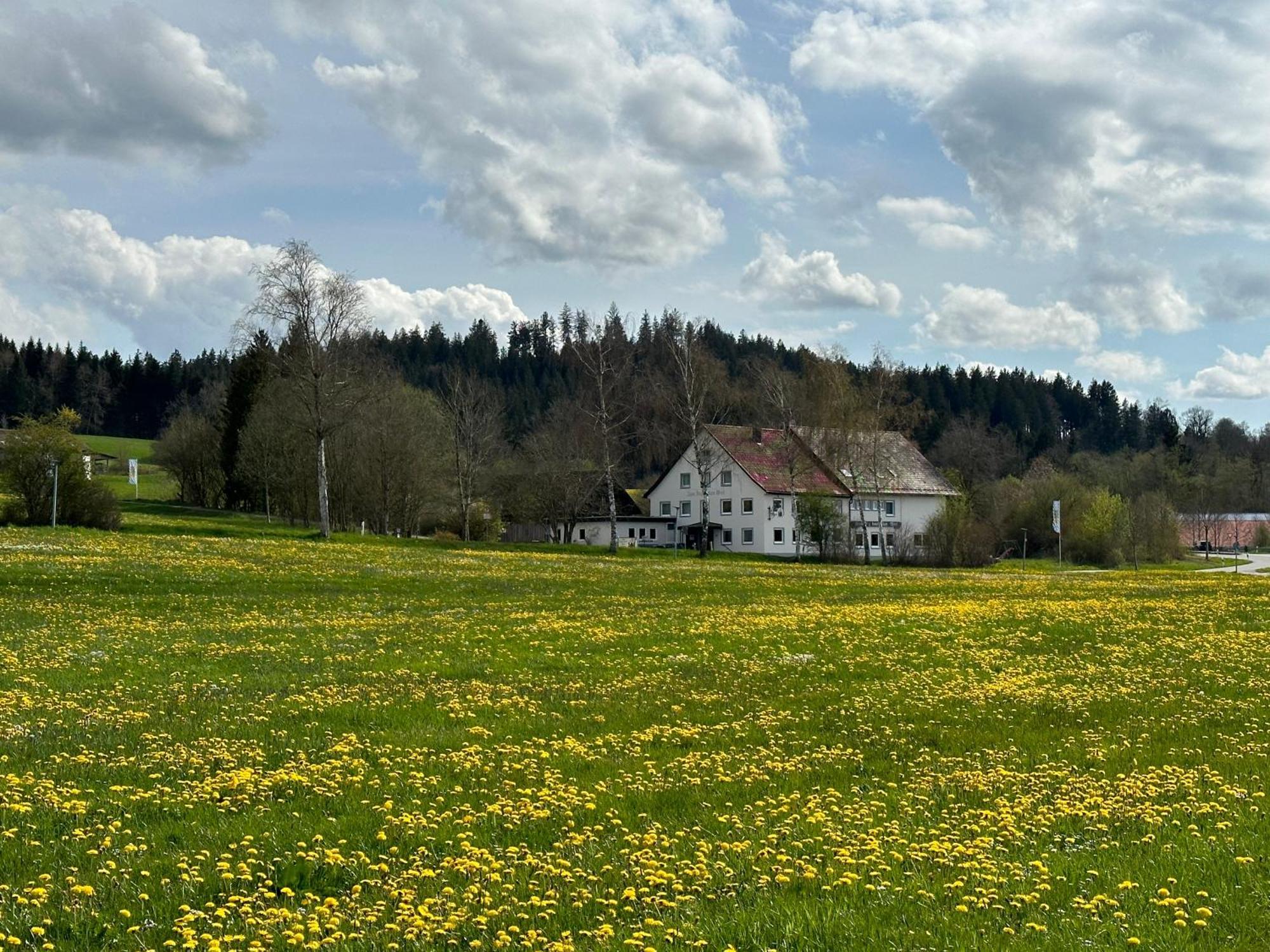 Zum Bayrischen Wirt Hotel Maierhöfen Eksteriør billede